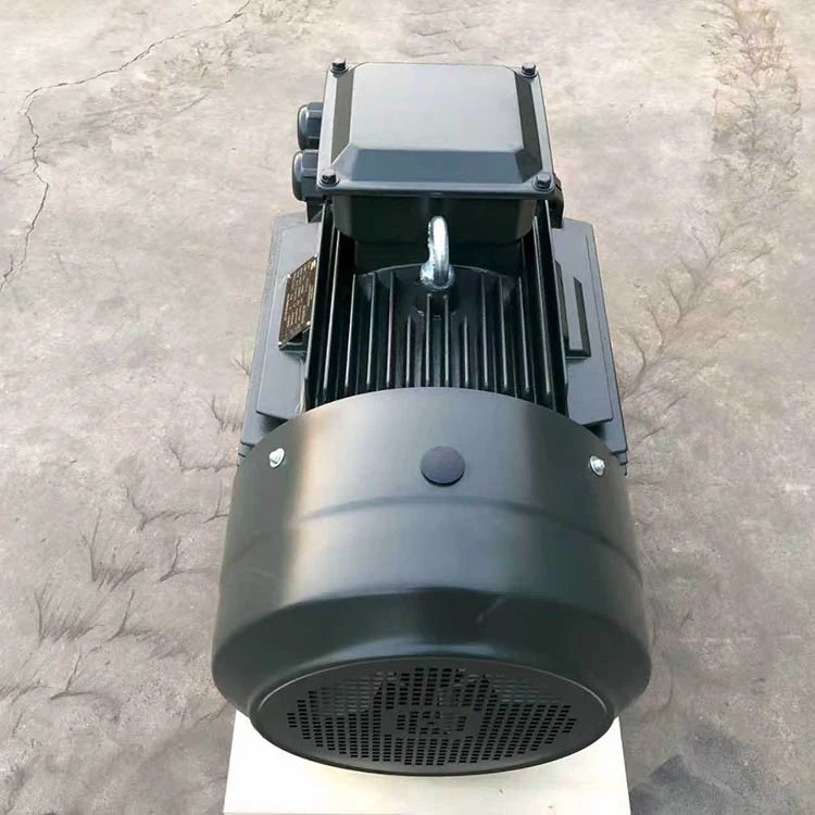 30kW Asynchronous Induction Motor factory