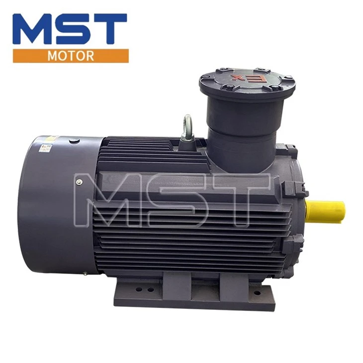 explosion proof electric motor