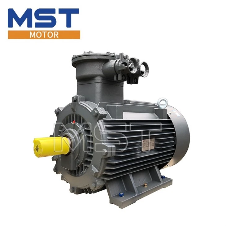 flameproof electric motor