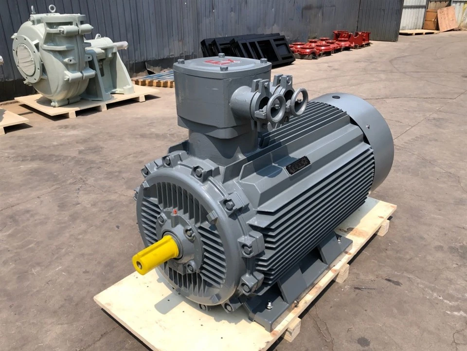 Explosion Proof AC Induction Electric Motor