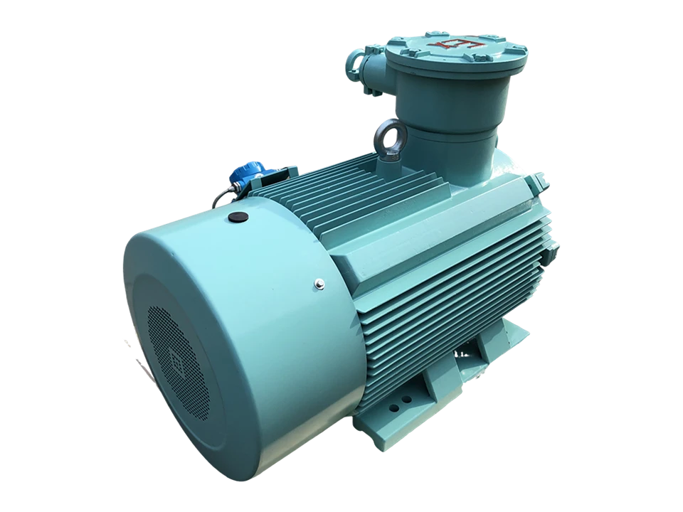 Explosion Proof Induction Electric Motor