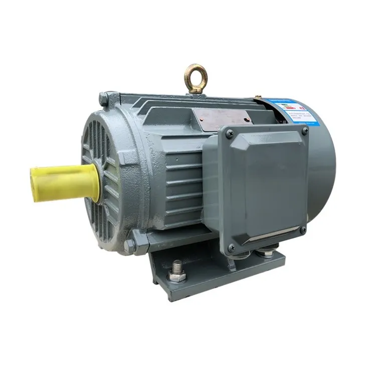 3 phase squirrel cage motor