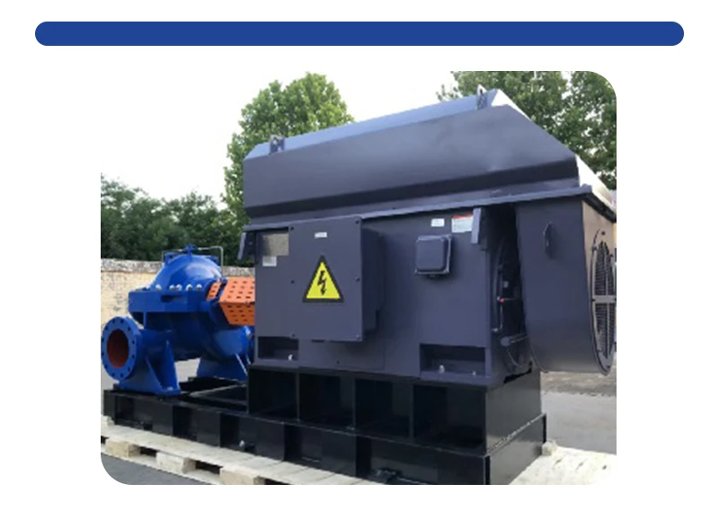 motor medium voltage motor medium voltage