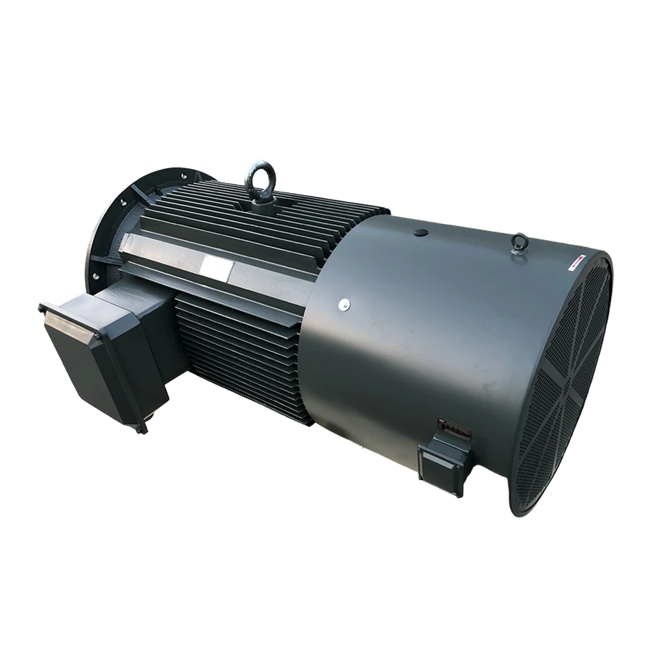 Variable Frequency Electric Motor